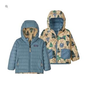 Patagonia Reversible Down Sweater Hoody